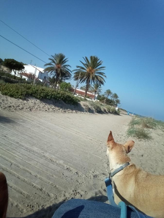 El Rincon De Denia - Paraiso Del Sol Luaran gambar